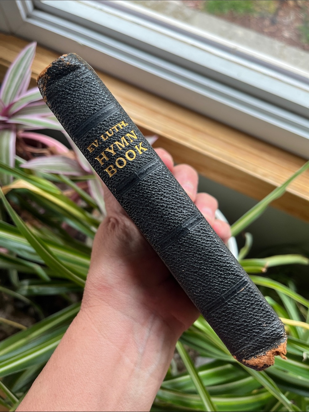 Evangelical Lutheran Hymn Book 1927 Concordia Publishing Handheld 4" X 6" *READ*